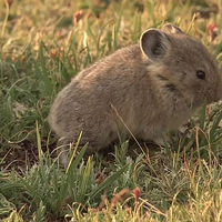 BBC��10����������¼Ƭ, �ú��ӿ������������ĵط�