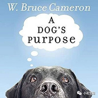 ������20��Ӣ�������飬�Ҽ�10�꺢���Ķ������Ȳ�������