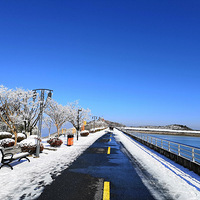 ȥ������ص�һ����ĵ��ϵ���Լ
