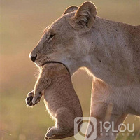 ���н����ۡ���һ�ε��裨�֣������޵�ʱ���㶼�ɹ���Щɵ�£�