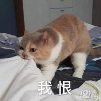 �������ʣ���������֤�벻�˼٣��յ����ս����ź�������ְ��
