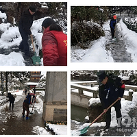 2019.02.08����ȫ�����峡�ݺ;��㿪�ţ���Ⱥɨѩ�ˡ�˧���ˡ�