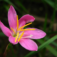 ǧ�����ĵľ���