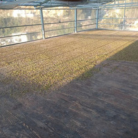 ��λ����ã�