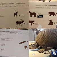 �������Ӻ����ģ������ʵ���ճ������