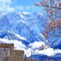 ����ʣ4�����3.23-3.31̽�����ؽ��ϣ�Ѱ���һ�Դ�������Ž���