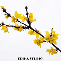 kakaǧ磬ҴݵЩ