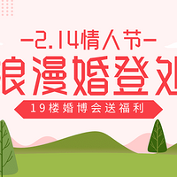 2.14���˽ڣ�19¥Я�ֺ��ǰ˴��Ǵ��͸���ඣ���ֱ���У�