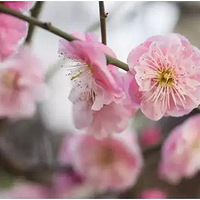 2019.02.13�����ڳ��죬ÿһ�춼�����˽ڣ�