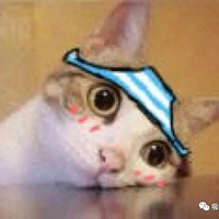 ʧվ·ʧ