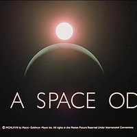 ������: ��ʲô��С�������ҵ�������?