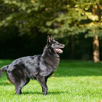 �к�������ը������ҧ���ҳ�����5������