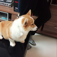 С