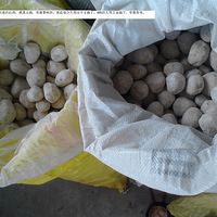 �ŷ������վ�