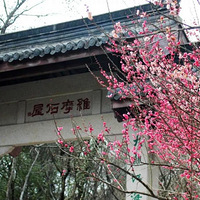 2019.02.20����ʶ���죡άĦɽׯ��С��ѩ����÷��ӭ��
