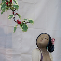 2019���׽��й�Ů�辰ʦ��Ʒչ