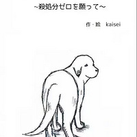 ���ձ�������è���Ĺ�����������