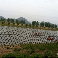 2020꡿ҵԼ۱ȷŽƤͧտײ