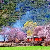 ��֥�һ��ڣ�����ϲ�����أ���ô����������������������Ĵ���