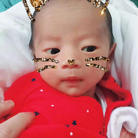 �������ռǡ���ӭ��ǰ��������������