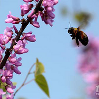 �������£�̤��֮Լ