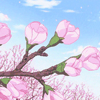 桃花、梨花、樱花、油菜花……人少景美，杭州还有如此赏花好地方