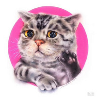 ѧСûлҲ