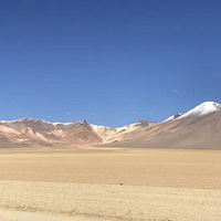 玻利维亚Fauna Andina国家保护区的标志性景点石头树
