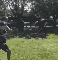 ���ְִ��ޣ������ж�Ұ����������������