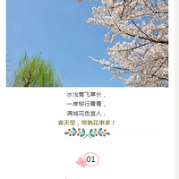 �˼����´����������컨�¶࣡