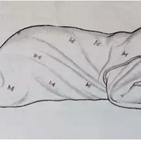 ��ұ������˶�������չ�������