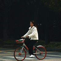游西湖