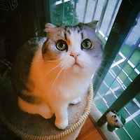 Ϊˣ