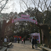 ��ɽ·̫���������㴺���������ǳ��ˣ����໨����û��ȫ��ʢ��.