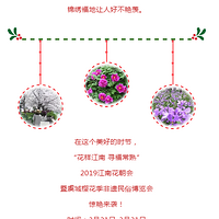 2019.03.16��Ϸ��̨��2019���ϻ��������ݳ�ӣ�����������ײ�����