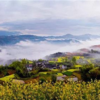 ɣ���Ͳ˻���ʢ��Ļ������8�������������ʹ�죡