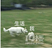 ʳĳʡǮʼ