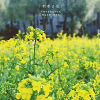 #�����Ĵ���#������Ժ