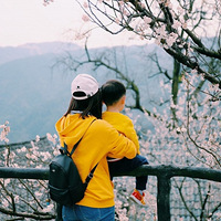 ����ɽ������ش�ׯ���������������������ӣ��