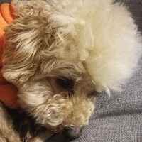 陪你慢慢变老……
