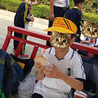 ���Ӵ�������һ�꼶����˵˵���ǵ���С�ν�ȫ���ԣ�