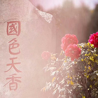 ��������ĵ��������������