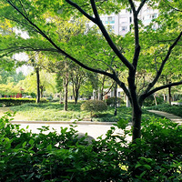 ����·�����ڷ�Դ����