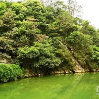 ����ǧ��������ʳ+����֮��~