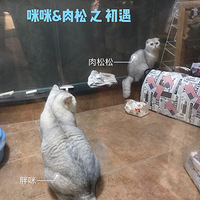 ĵһסҸҲס
