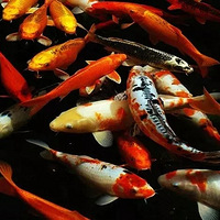 ����׸�����30�򣬵���4վ��������֣�2019¥�С��������ˣ�