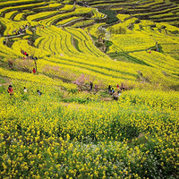 3.30����������شɽ��ǧĶ�����Ͳ˻����������ʯ��