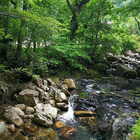 һ������ũ��Ĳɲ�����