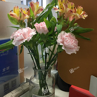 �ſ��������¼