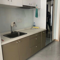 �¿�˹�����ھ�װ��Ԣ����۸�ʵ��������˽����ʱ����